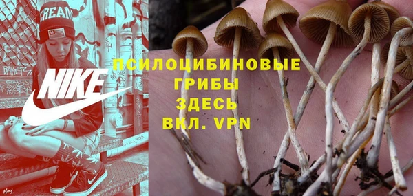 хмурый Алзамай